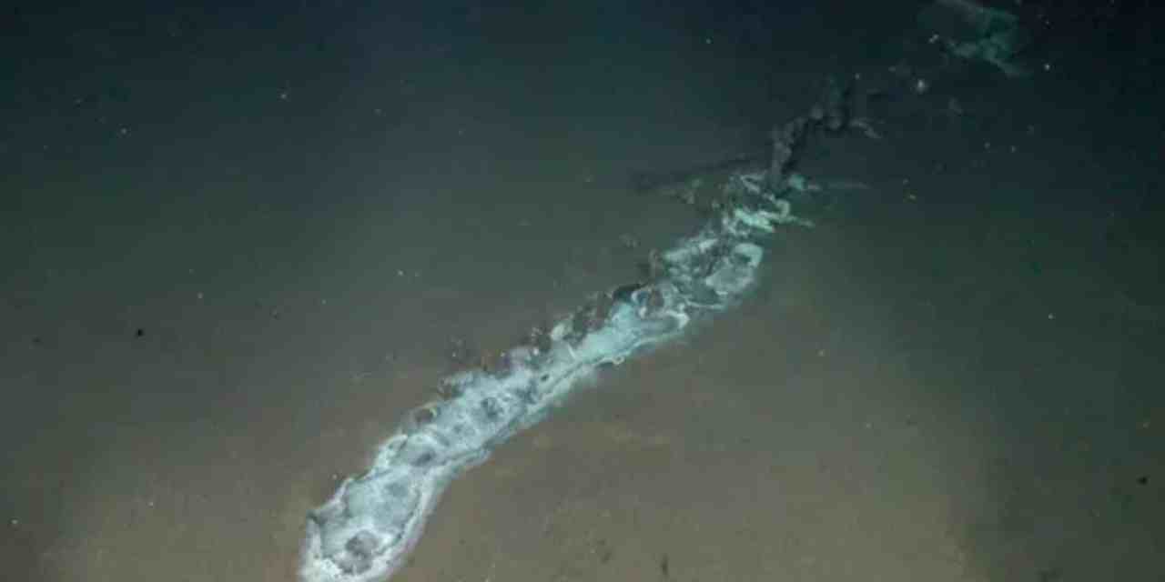 Explorers Discover a Hidden World Thriving Around a Giant Creature Deep in the Ocean