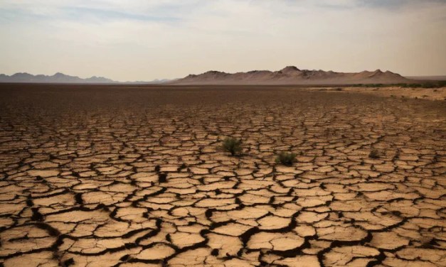 Developing Countries’ Climate Targets At Risk Without Finance From Developed World: India