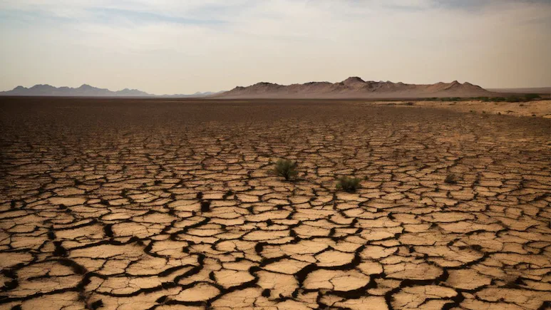 Developing Countries’ Climate Targets At Risk Without Finance From Developed World: India