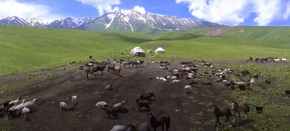 Climate change: How mountain communities are scaling new heights