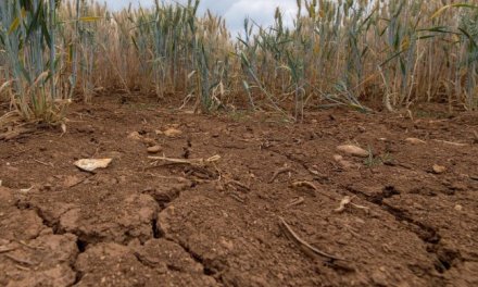 Global Soil Moisture in ‘Permanent’ Decline Due to Climate Change