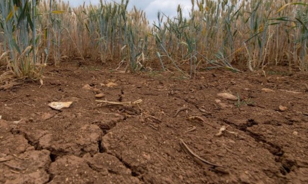 Global Soil Moisture in ‘Permanent’ Decline Due to Climate Change