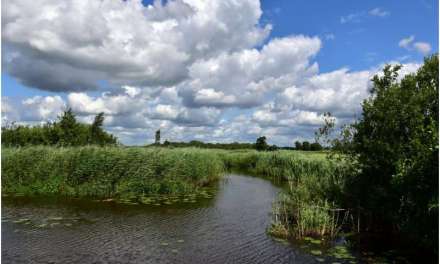 Oxygen is running low in inland waters—and human activities are to blame