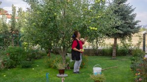 Types Of Flowers You Shouldn't Grow Near Fruit Trees 1 Types Of Flowers You Shouldn't Grow Near Fruit Trees 1