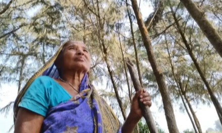 Odisha woman turns barren coastal land into green belt of over 50,000 trees; saves multiple villages