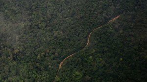 A tiny rainforest country is growing into a petrostate. A US oil company could reap the biggest rewards 1 A tiny rainforest country is growing into a petrostate. A US oil company could reap the biggest rewards 1