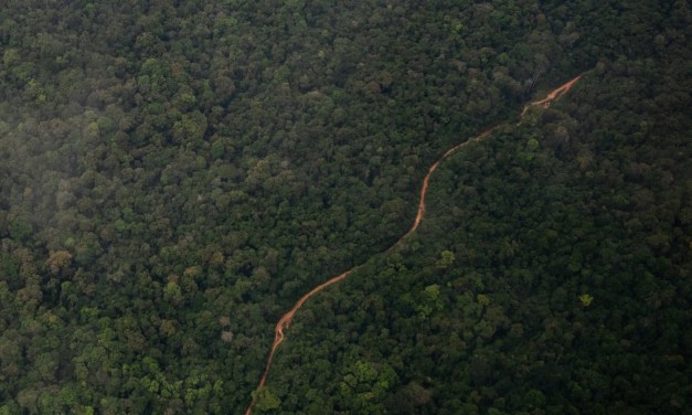 A tiny rainforest country is growing into a petrostate. A US oil company could reap the biggest rewards