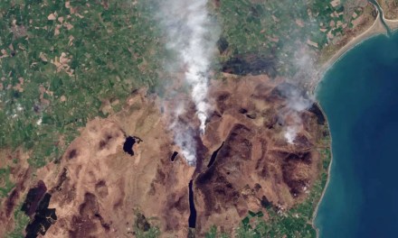 Area burned by UK wildfires in 2025 already at annual record