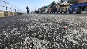 Plastic pellets found on Kerala coast after shipwreck pose serious environmental impact, warn experts 1