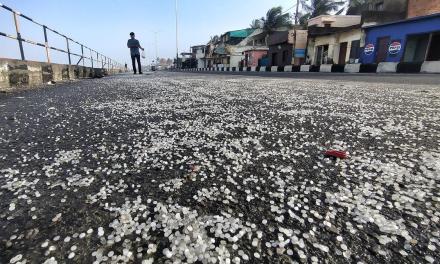 Plastic pellets found on Kerala coast after shipwreck pose serious environmental impact, warn experts