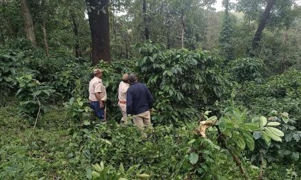 Supreme Court directs States, Union Territories to reclaim reserved forests allotted to private parties