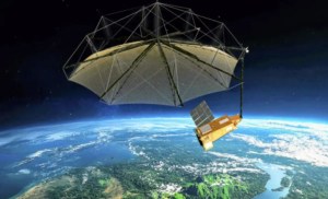Satellite view of forest biomass reveals hidden carbon trends 1