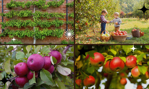 How to Plant an Apple Tree and Enjoy Fresh Fruit