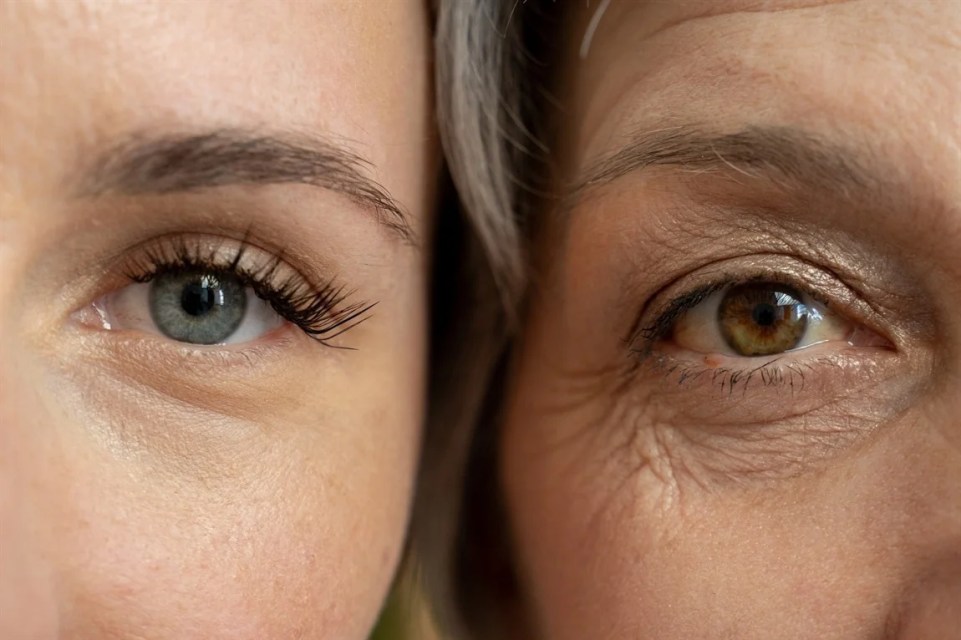 Can your diet slow skin aging? New review reveals what helps and what harms