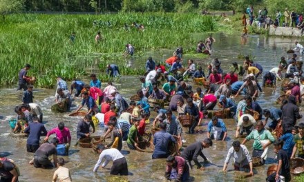 This Ancient Ritual in Kashmir Offers a Modern Climate Solution