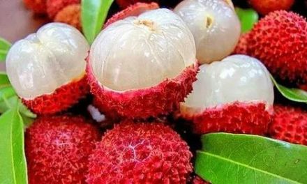 Spot the Real Litchi This Summer: Smart, Simple Tips to Keep Your Fruit Bowl Safe