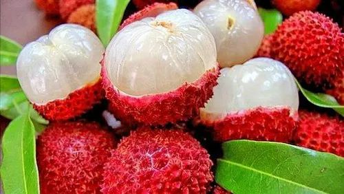 Spot the Real Litchi This Summer: Smart, Simple Tips to Keep Your Fruit Bowl Safe