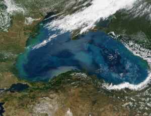 Geoengineers eye up ocean ‘dead zones’ for carbon storage 1