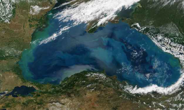 Geoengineers eye up ocean ‘dead zones’ for carbon storage