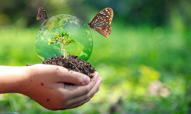 India needs to rethink its relationship with nature