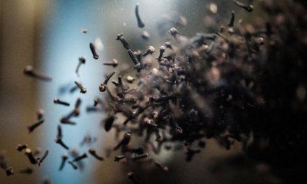 Climate change threatens historic clove farming in Indonesia