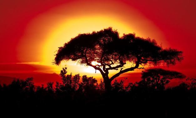 Climate change takes increasingly extreme toll on African countries