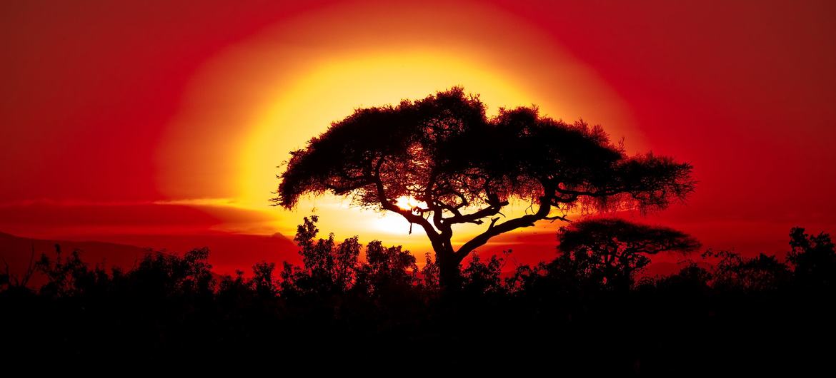 Climate change takes increasingly extreme toll on African countries