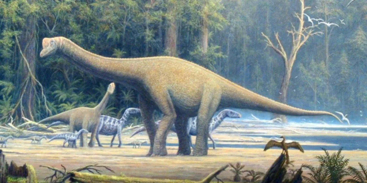 Dinosaur that roamed India 220 million years ago identified as Maleriraptor kuttyi