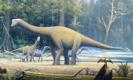 Dinosaur that roamed India 220 million years ago identified as Maleriraptor kuttyi