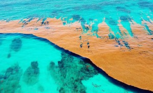 There is one sea on Earth that touches no land, because it has no shore 1