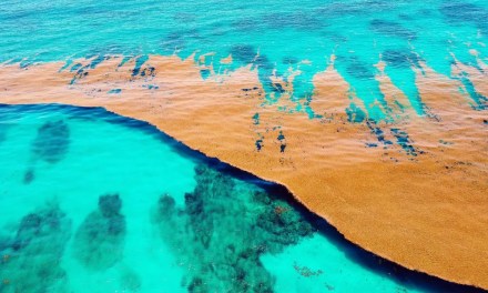 There is one sea on Earth that touches no land, because it has no shore