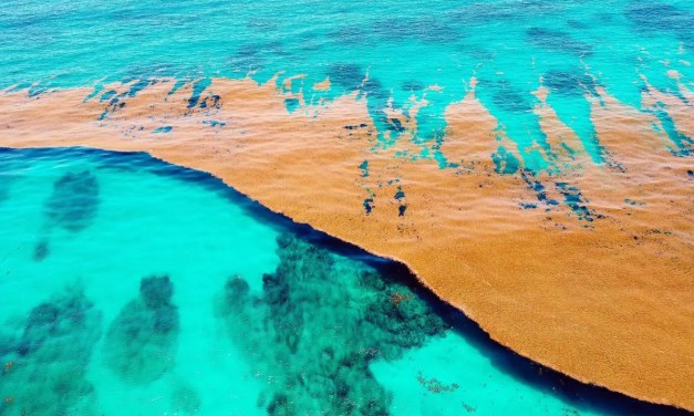 There is one sea on Earth that touches no land, because it has no shore