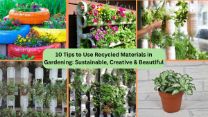 10 Tips to Use Recycled Materials in Gardening: Sustainable, Creative & Beautiful 1