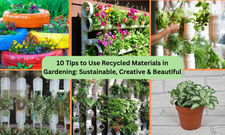 10 Tips to Use Recycled Materials in Gardening: Sustainable, Creative & Beautiful