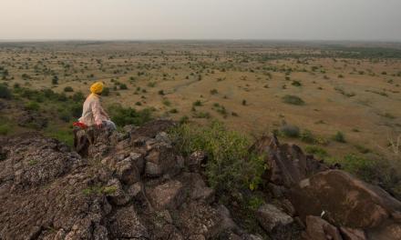 Photo essay: Nine ways of seeing deserts as landscapes of richness – not symbols of failure