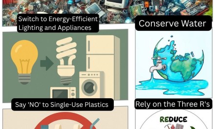 World Environment Day: 5 Resolutions to Make Your Home Greener