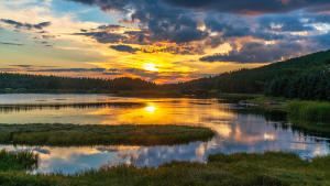 China’s Desert Revival Sparks Green Economy Boom 1