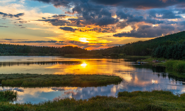 China’s Desert Revival Sparks Green Economy Boom