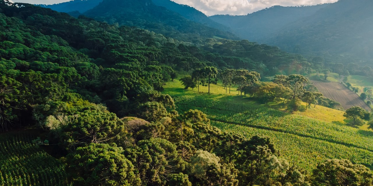 Global Landscape of Climate Finance 2025