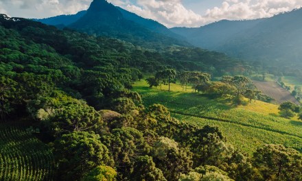 Global Landscape of Climate Finance 2025