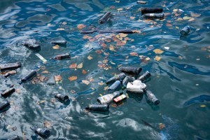 Scientists in Japan develop plastic that dissolves in seawater within hours 1