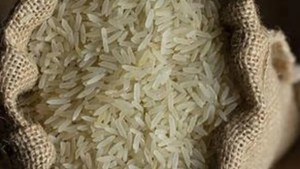 IRRI scientists identify rice varieties with anti-cancer properties 1