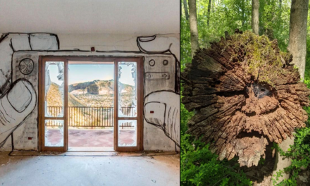 Nature Is Everything (8 Photos)