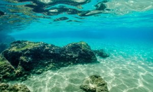 Ocean climate fixes could worsen the oxygen crisis 1