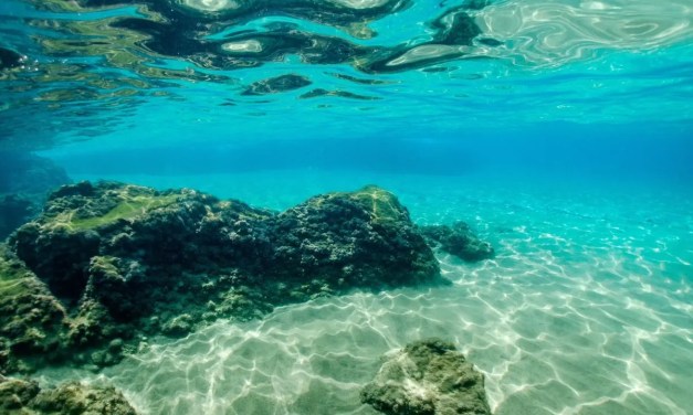 Ocean climate fixes could worsen the oxygen crisis