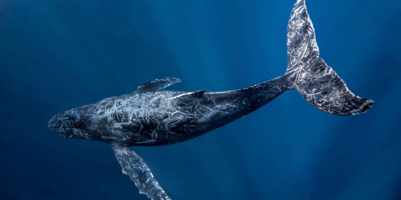 Oceans cannot become ‘wild west’, warns UN chief