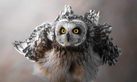 20 Mesmerizing Nature Photos That Celebrate the Beauty of the Natural World