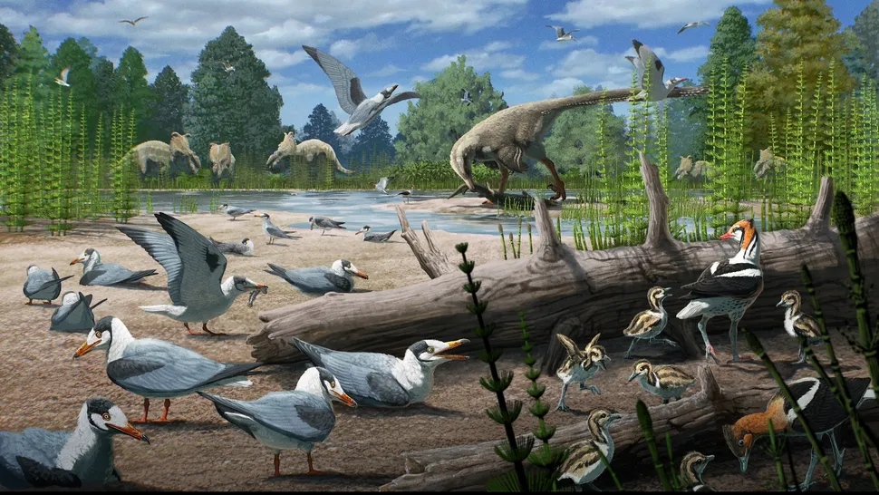Birds have been nesting in the Arctic Circle for almost 73 million years, newly discovered fossils reveal