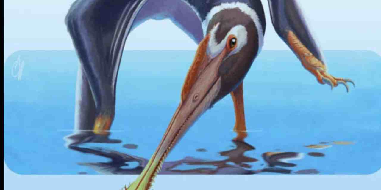 New Flying Reptile Species Unearthed in Germany: Meet Spathagnathus roeperi