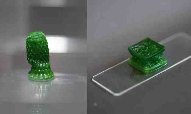 Scientists Create Living Building Material That Stores Carbon Like a Tree